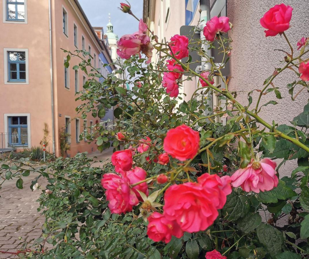 Fynbos Apartments In Der Altstadt, Frauenkirche, Netflix, Parkplatz Meissen Exterior photo