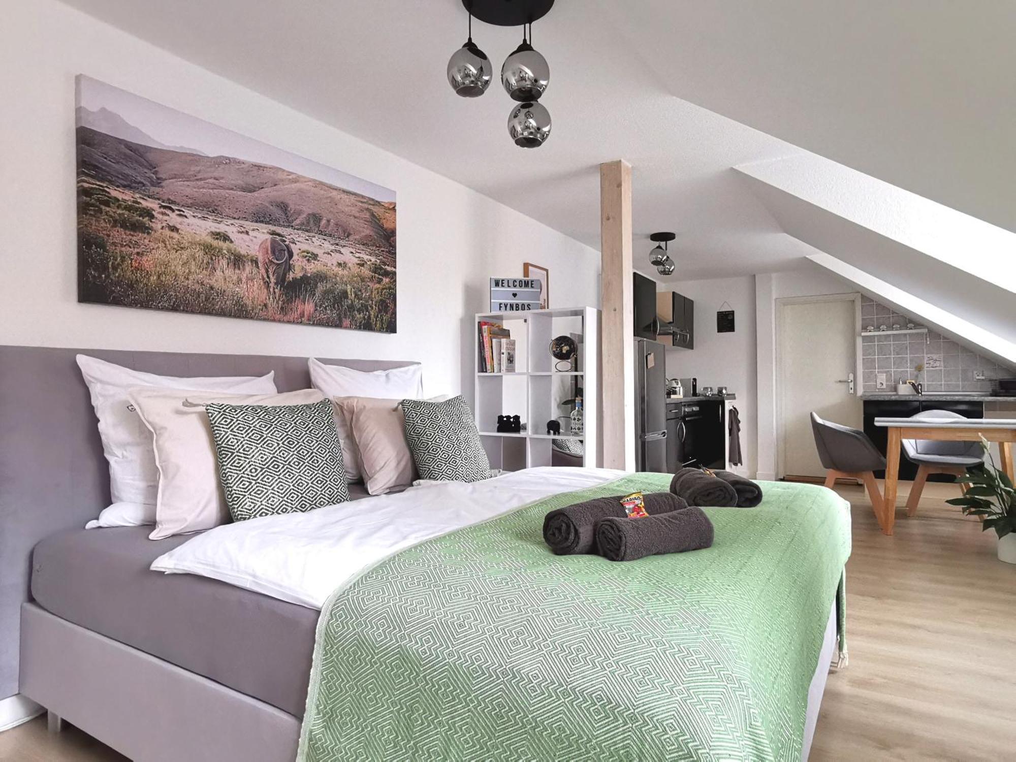 Fynbos Apartments In Der Altstadt, Frauenkirche, Historisch, Parkplatz Meissen Room photo